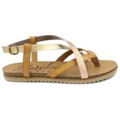 Blowfish Womens Mirenda Sandals - Bee Honey Multi 8 Blowfish Womens Mirenda Sandals - Bee Honey Multi -Fashion Shoe Store Blowfish Mirenda BeeHoneyMulti 2 5