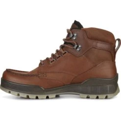 Ecco Mens Track 25 GTX Waterproof Boots - Bison Bison -Fashion Shoe Store Ecco Track25 BisonBison 3 6