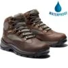 Timberland Womens Chocorua Trail GTX Waterproof Walking Boot - Dark Brown 15631 -Fashion Shoe Store PS3745